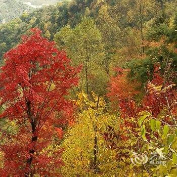 阿坝阿甲部落客栈用户上传图片