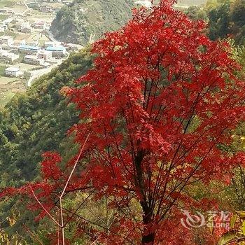 阿坝阿甲部落客栈用户上传图片