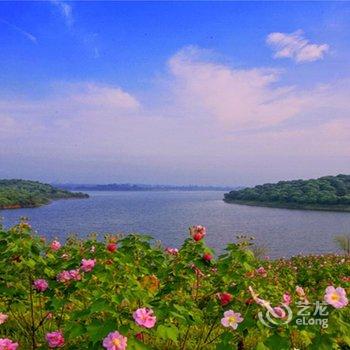 东莞松山湖银丰逸居酒店酒店提供图片