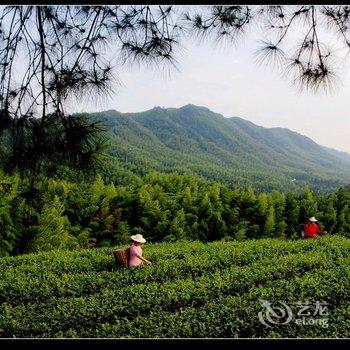 重庆中华茶艺山庄酒店提供图片