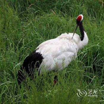 合阳黄河湾假日酒店酒店提供图片