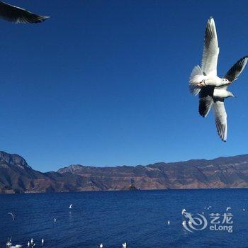 泸沽湖转角客栈酒店提供图片