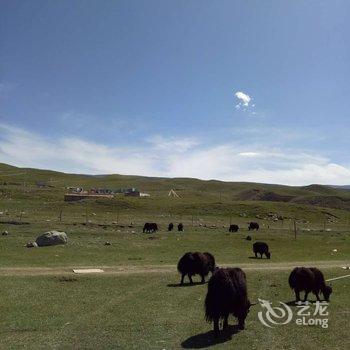 海南藏族北京之家达杰牧场宾馆酒店提供图片