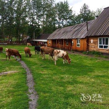 哈巴河木屋客栈酒店提供图片