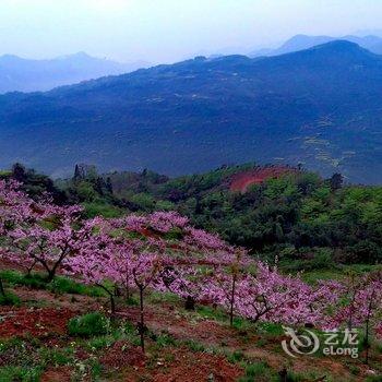 成都大邑雾山农场酒店提供图片