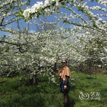 成都大邑雾山农场酒店提供图片