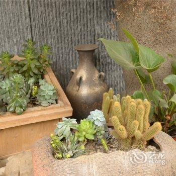 成都城市绿岛酒店(宽窄巷子店)酒店提供图片