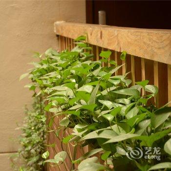 成都城市绿岛酒店(宽窄巷子店)酒店提供图片