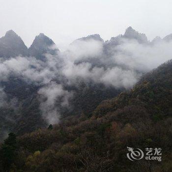 武当山太极会馆酒店提供图片