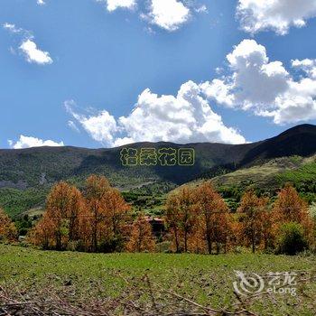 甘孜新都桥格桑花园客栈酒店提供图片