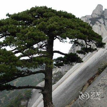 天柱山舒苑宾馆酒店提供图片