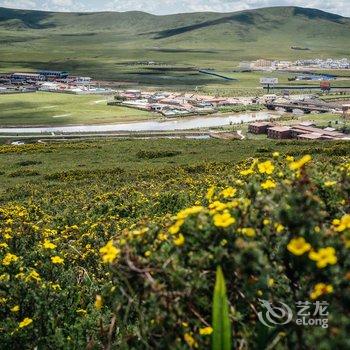 若尔盖原筑国际青年旅舍酒店提供图片