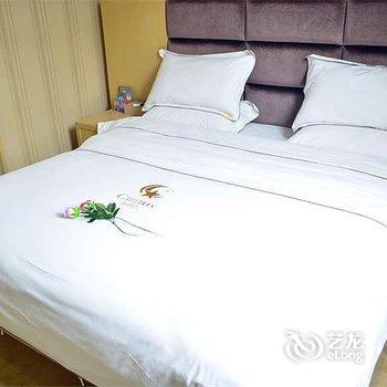 卡尔顿酒店（佛山美食广场总店）酒店提供图片