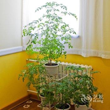 如家酒店·NEO(乌鲁木齐碾子沟汽车站店)酒店提供图片