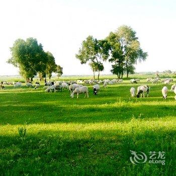 承德木兰围场御道口江天大酒店酒店提供图片