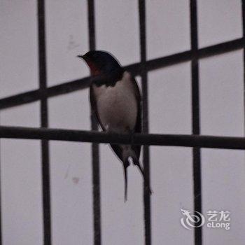 平遥有家客栈酒店提供图片