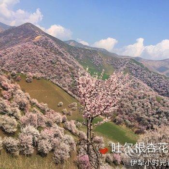 伊宁小时光青年旅舍酒店提供图片