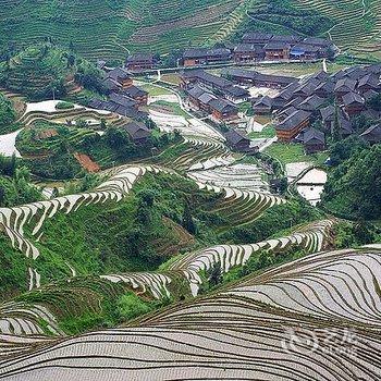 龙胜好农夫家庭旅馆酒店提供图片