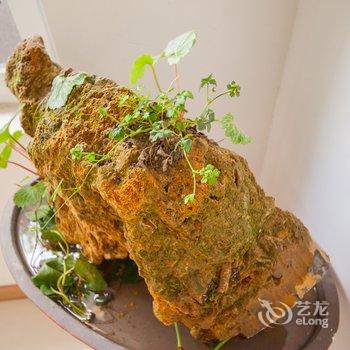 南通年青宾馆酒店提供图片