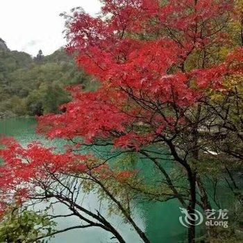 茂县松坪沟大酒店酒店提供图片