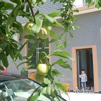 浙西大峡谷麦香园农家乐酒店提供图片