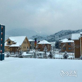 亚布力温泉滑雪度假别墅酒店提供图片