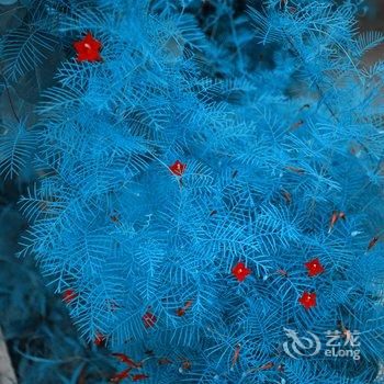 青岛芒豆的暖屋酒店提供图片
