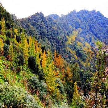 都江堰青城山欢墅度假别墅(青山逸品)酒店提供图片