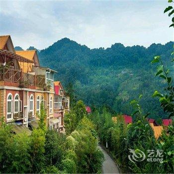 都江堰青城山欢墅度假别墅(青山逸品)酒店提供图片