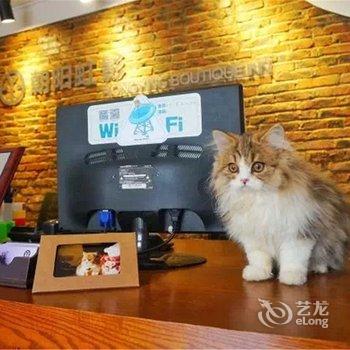 桂林朝阳虹影猫宠公寓酒店提供图片