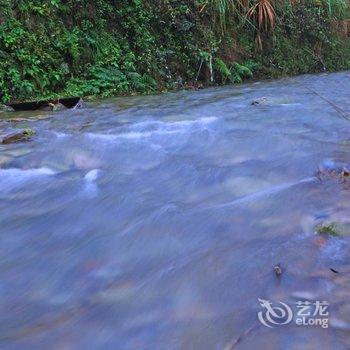 雁荡山南亚小栈酒店提供图片