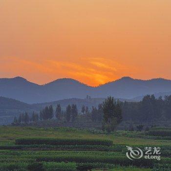 沂水蒙山龙雾茶文化主题宾馆酒店提供图片