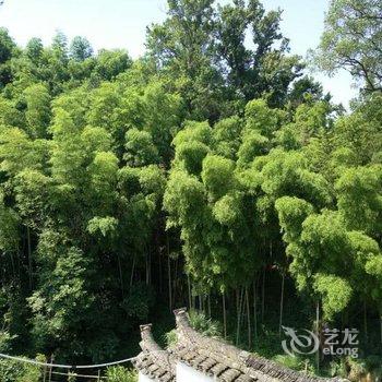 婺源本草驿栈酒店提供图片