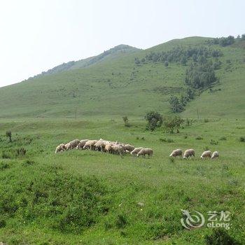 丰宁坝上草原王家大院酒店提供图片