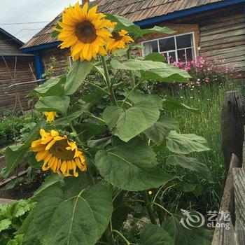 额尔古纳恩和嘎列旅游之家酒店提供图片