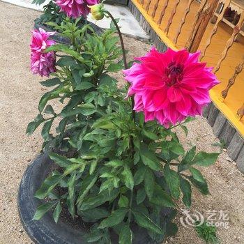 额尔古纳恩和嘎列旅游之家酒店提供图片