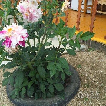 额尔古纳恩和嘎列旅游之家酒店提供图片
