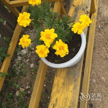 额尔古纳恩和嘎列旅游之家酒店提供图片