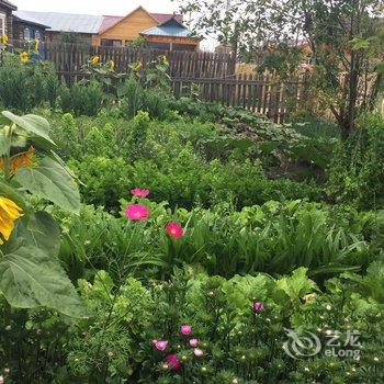 额尔古纳恩和嘎列旅游之家酒店提供图片