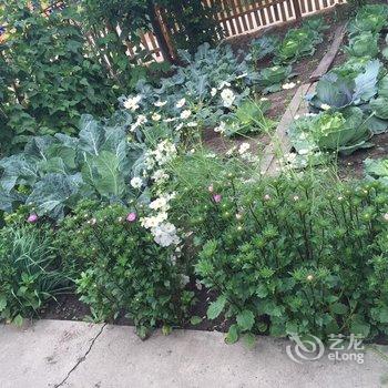 额尔古纳恩和嘎列旅游之家酒店提供图片