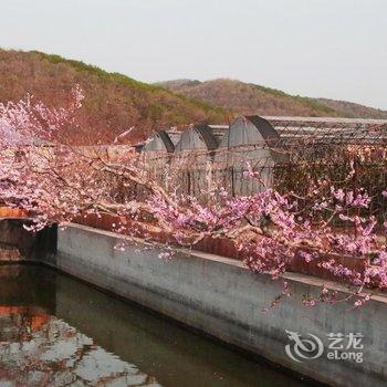 大连北马山庄酒店提供图片