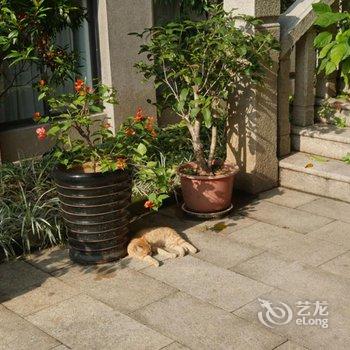 厦门鼓浪屿音乐之声青旅