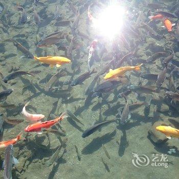 水水春耘民宿酒店提供图片