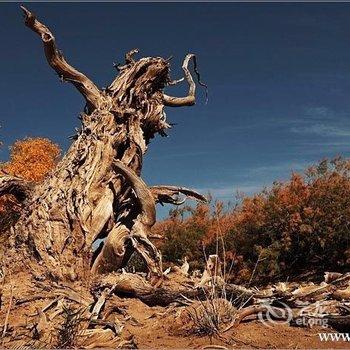 额济纳旗怡家小住家庭宾馆酒店提供图片