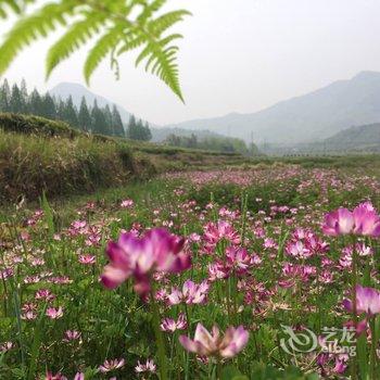 湖州墨田精品民宿酒店提供图片