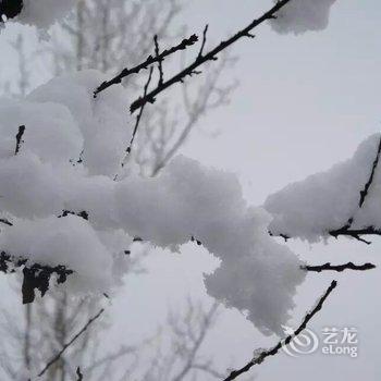 牡丹江威虎山雪村东北人家家庭旅馆酒店提供图片