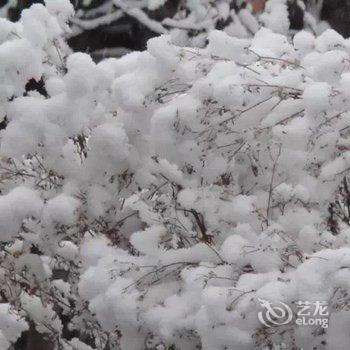 牡丹江威虎山雪村东北人家家庭旅馆酒店提供图片