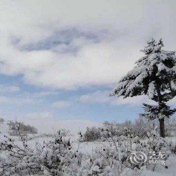 牡丹江威虎山雪村东北人家家庭旅馆酒店提供图片