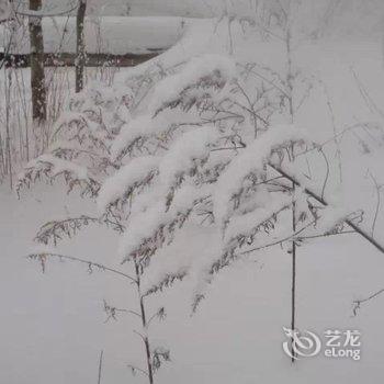 牡丹江威虎山雪村东北人家家庭旅馆酒店提供图片