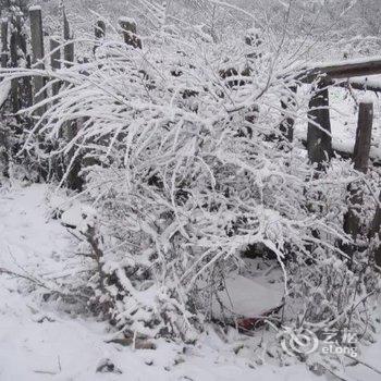 牡丹江威虎山雪村东北人家家庭旅馆酒店提供图片